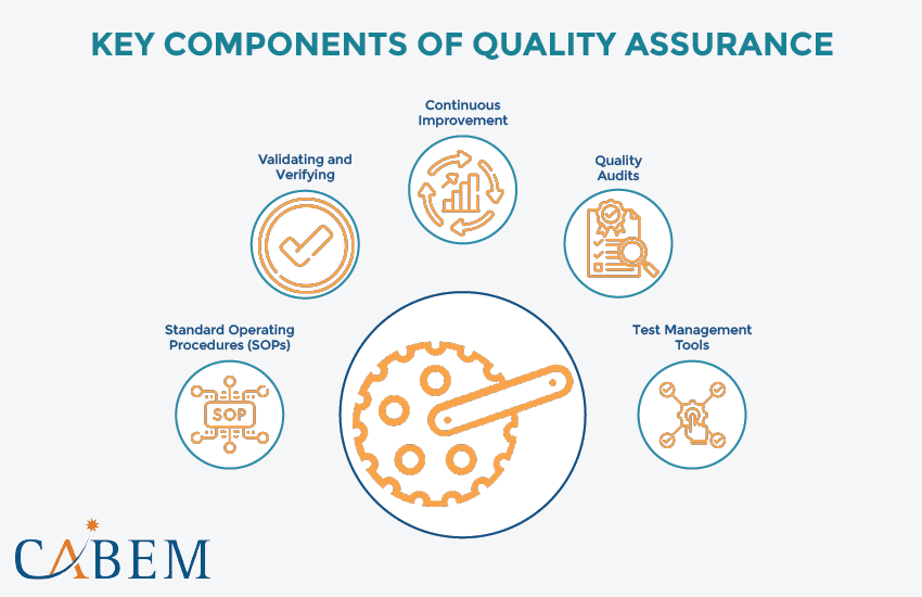 Key Components of Quality Assurance | Cabem Technologies