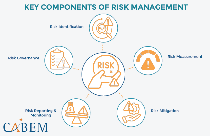 Key Components of Risk Management | Cabem Technologies