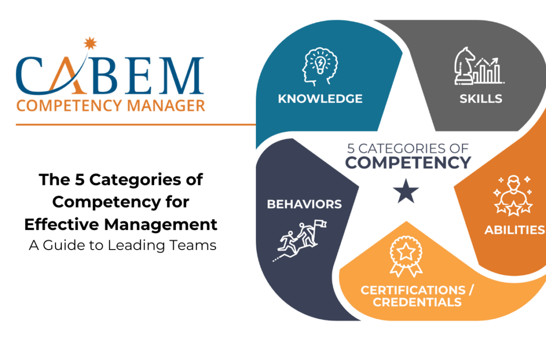 competency categories